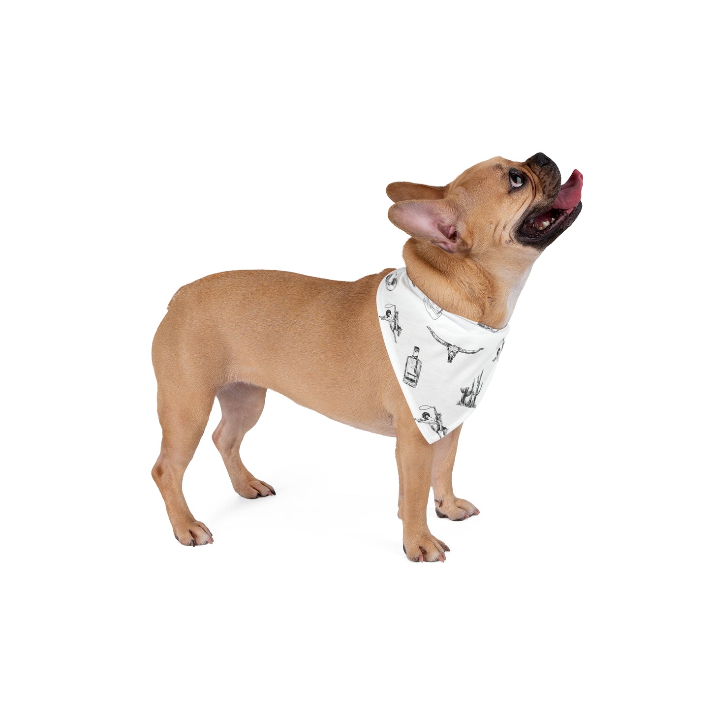 Wild West Pet Bandana