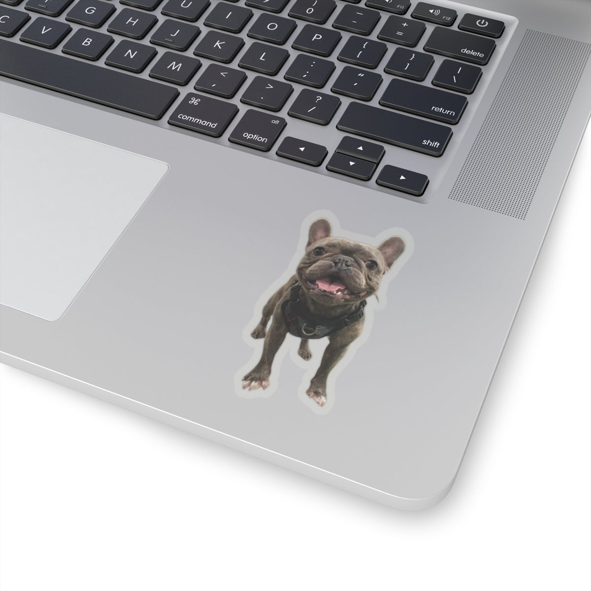 Custom Kiss-Cut Stickers