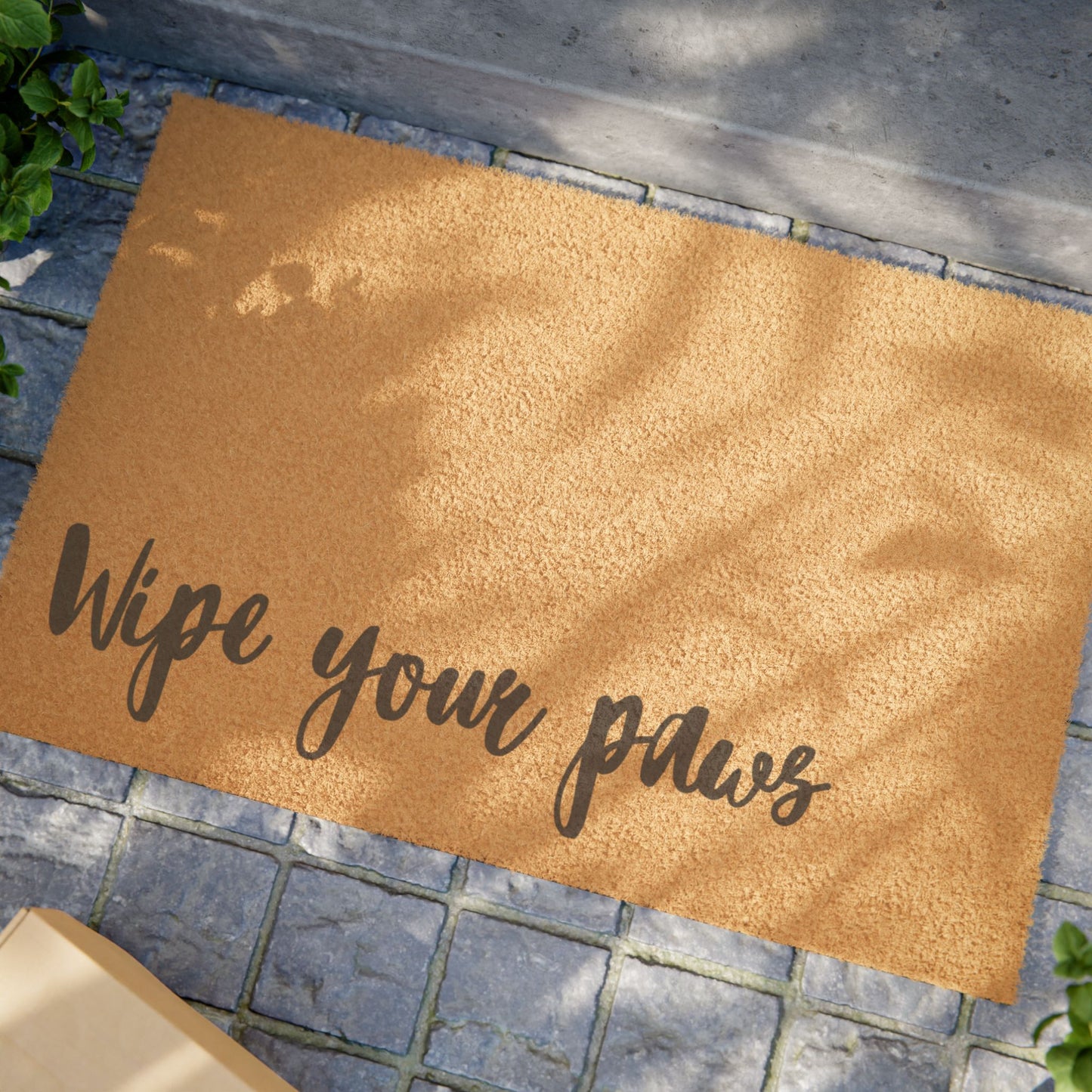 Wipe your paws Doormat