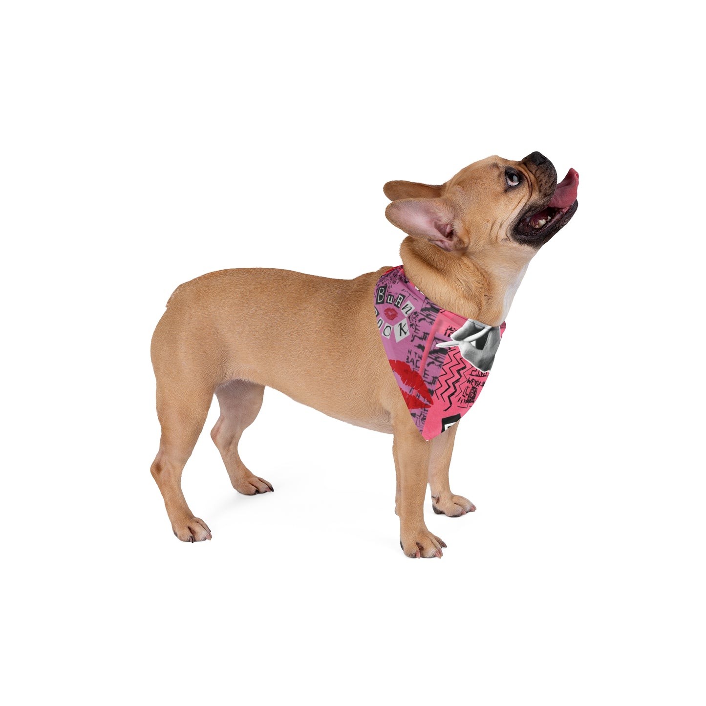 Burn Book Pet Bandana