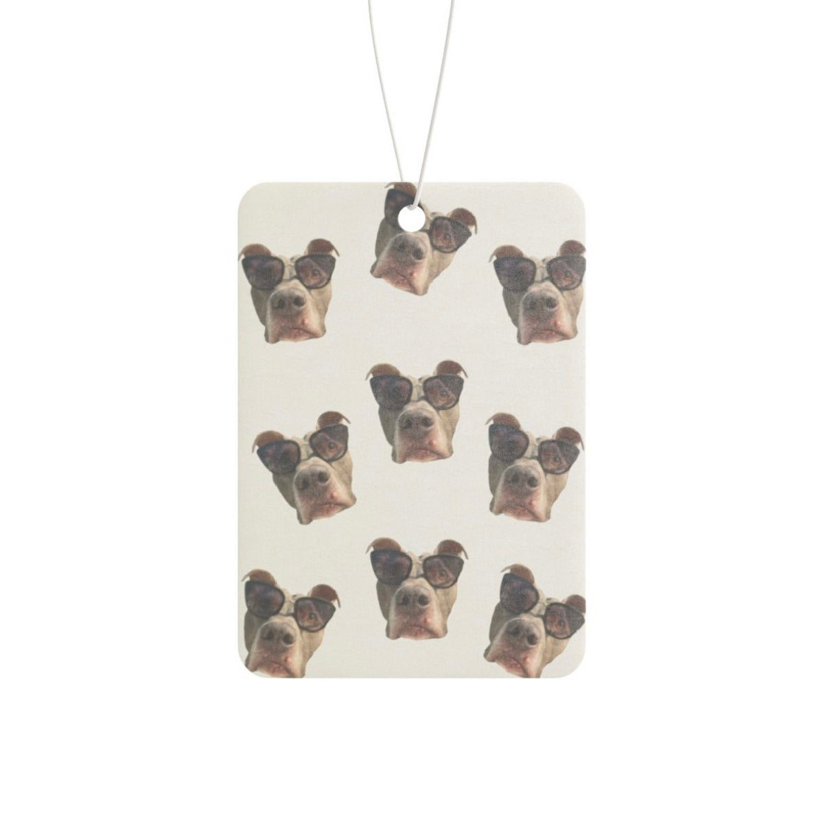 Custom Pet Air Fresheners