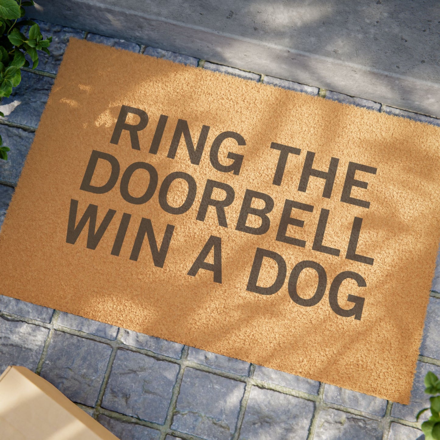 Win a dog Doormat