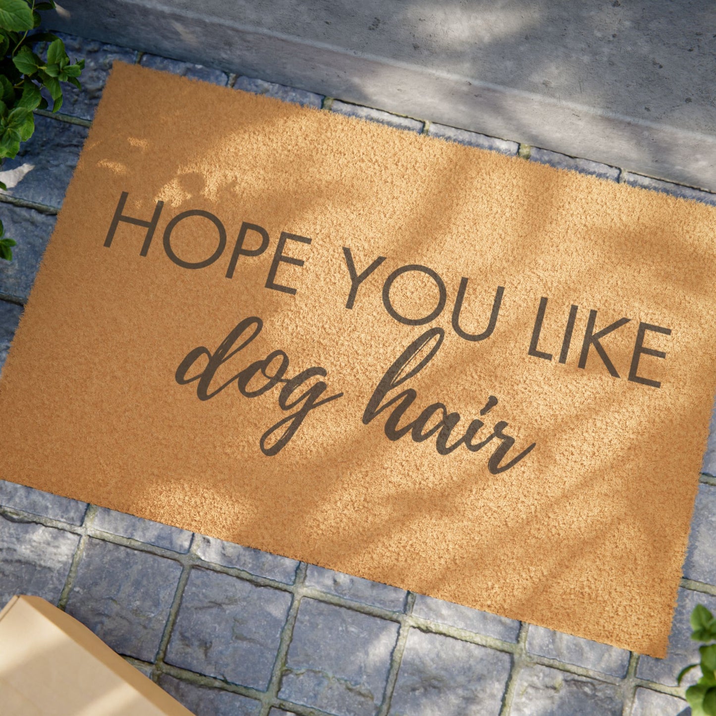 Dog hair Doormat
