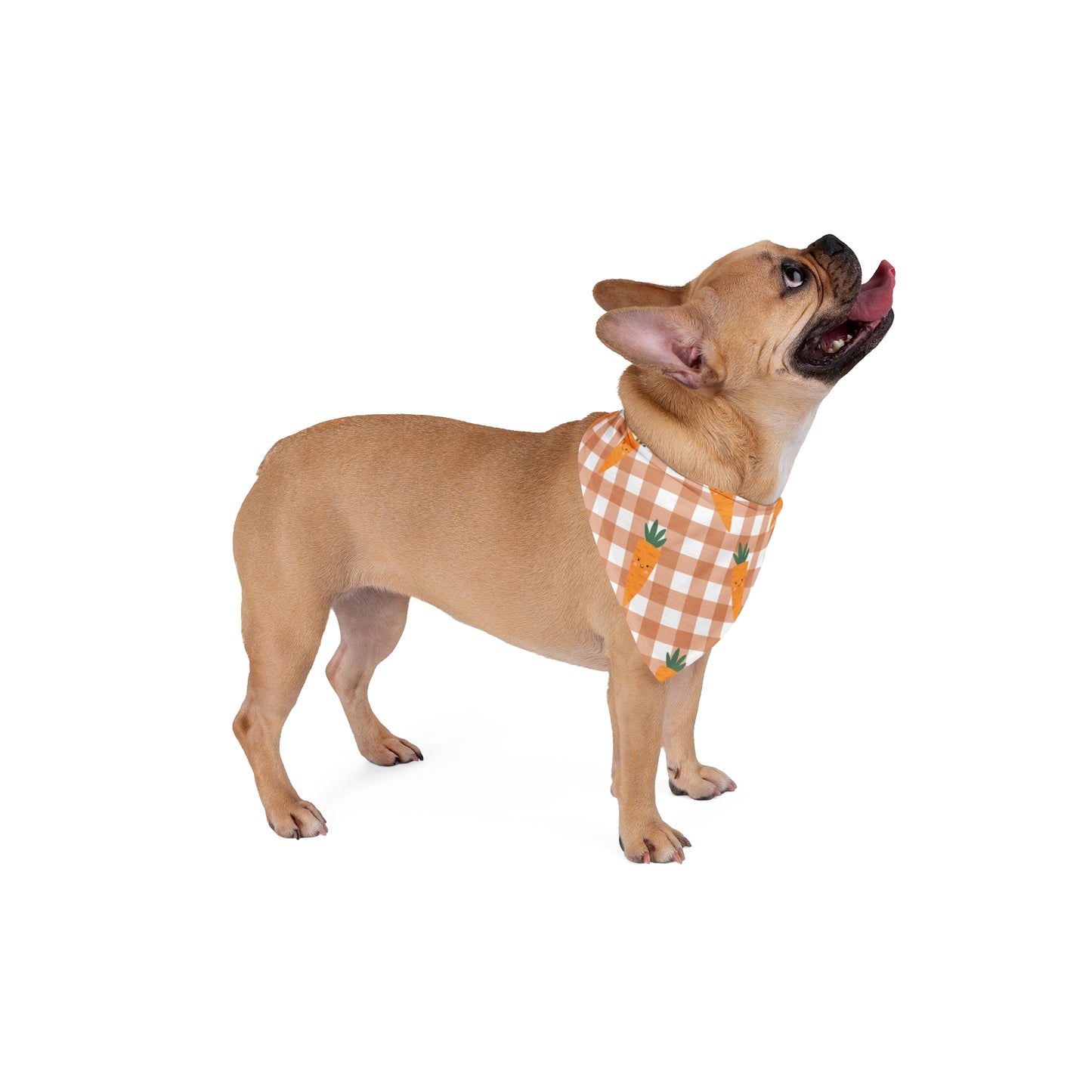 Easter Pet Bandana