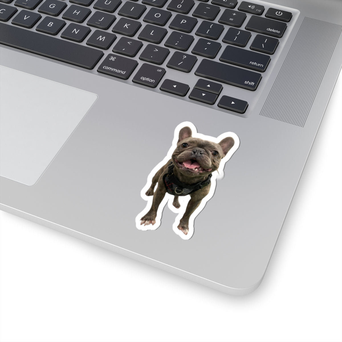 Custom Kiss-Cut Stickers